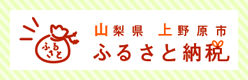 ふるさと納税サイト