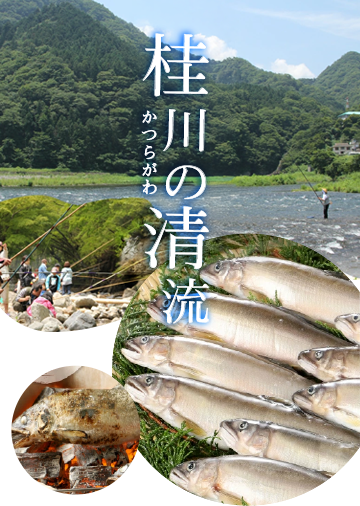 桂川の清流