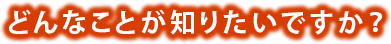 どんなことが知りたいですか？