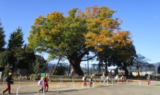 上野原市教育委員会の画像