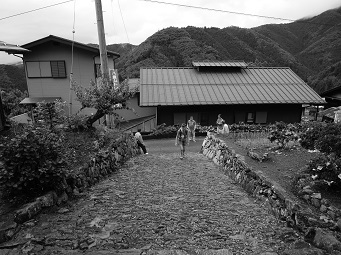 八重山トレイルレースの様子