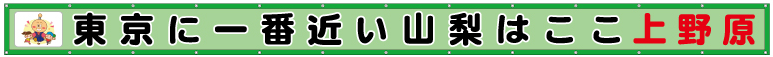 東京に一番近い山梨はここ上野原
