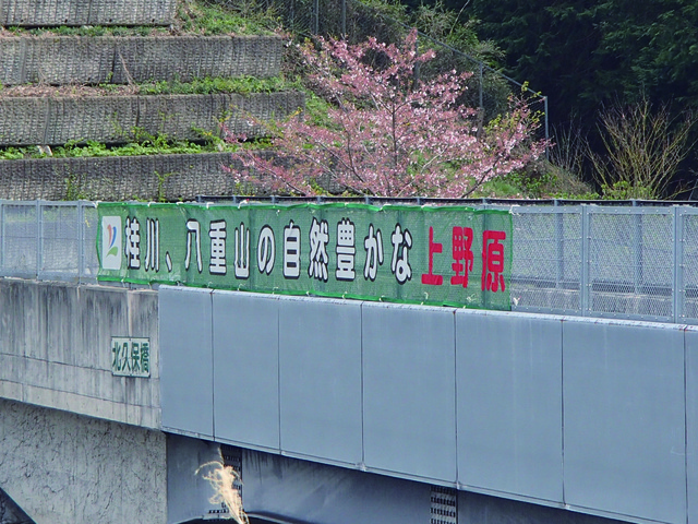 北久保橋にかかる横断幕