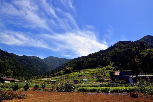 市内の農村風景