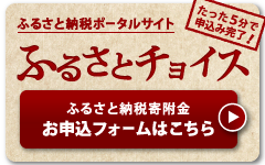 ふるさとチョイスバナー画像