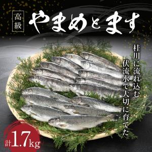 桂川漁業協同組合　やまめとます