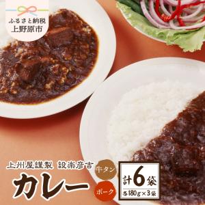 上州屋設楽彦吉商店カレー