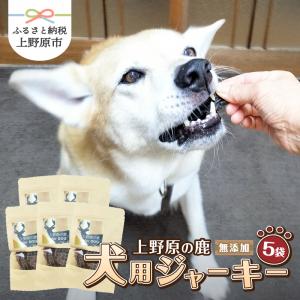 犬用ジャーキー　真ん中にジャーキーを食べている白い犬　左下に5袋の犬用ジャーキー