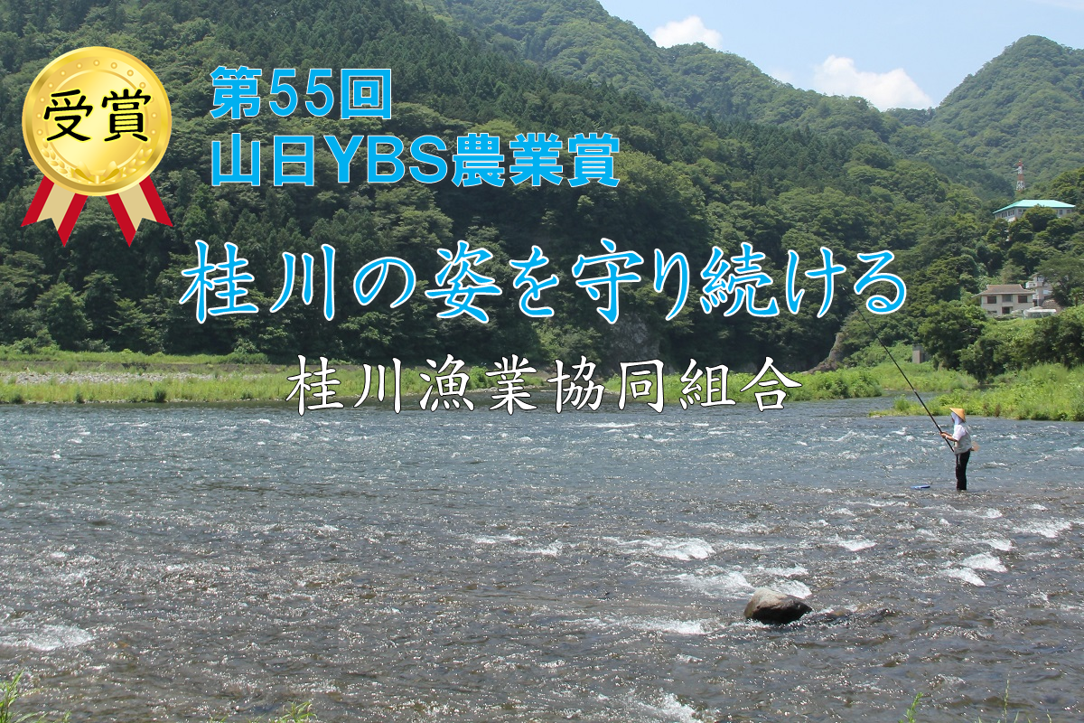 受賞　第55回山日YBS農業賞　桂川の姿を守り続ける桂川漁業組合　後ろに桂川の風景