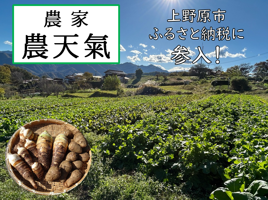 農家 農天氣 上野原市ふるさと納税に参入！　畑の写真　左下に里芋・京いも・海老芋の写真
