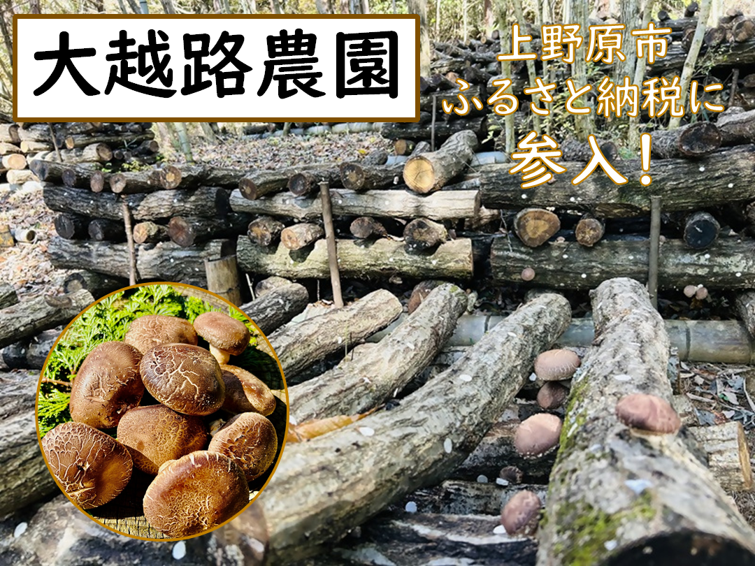 大越路農園　上野原市ふるさと納税に参入　画像　背景に椎茸を原木栽培で育てている様子　左下に原木椎茸の写真