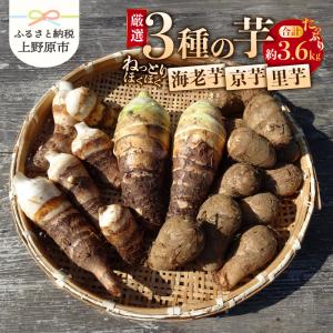 山梨県上野原市産 厳選３種の芋（里芋・京芋・海老芋）セット