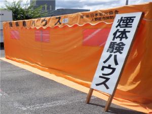 煙体験