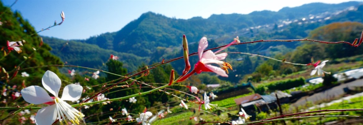 welcome to 上野原の画像