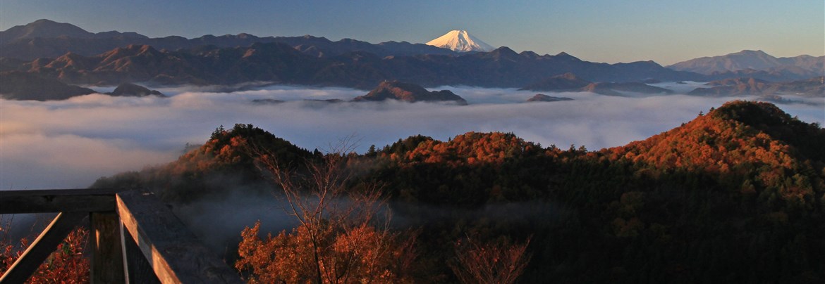 八重山ドローン動画の画像