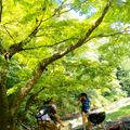 平野田休養村キャンプ場の画像8