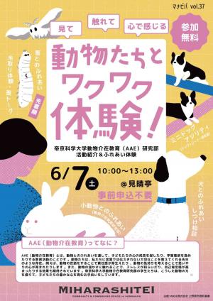 チラシ