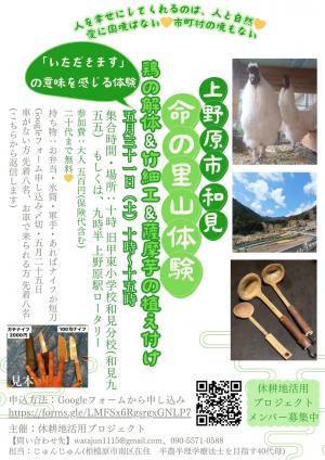 チラシ