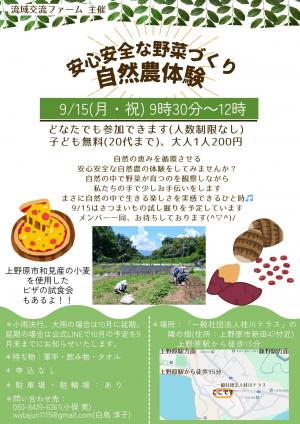 チラシ