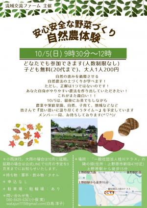 チラシ
