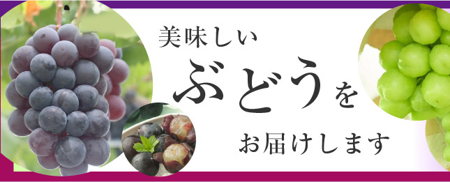 美味しいぶどうをお届けします