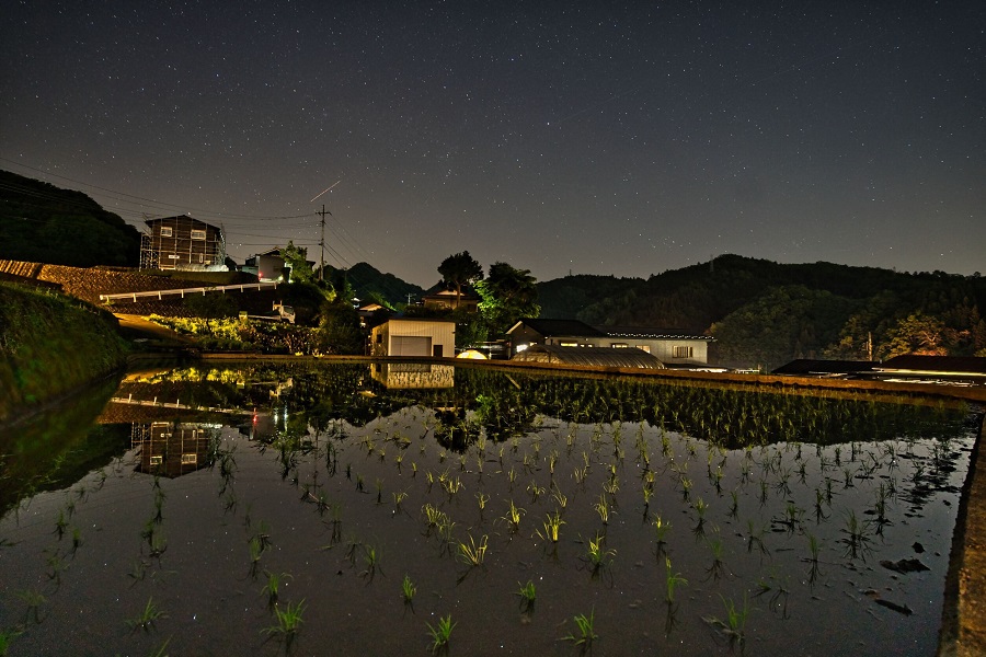 棚田