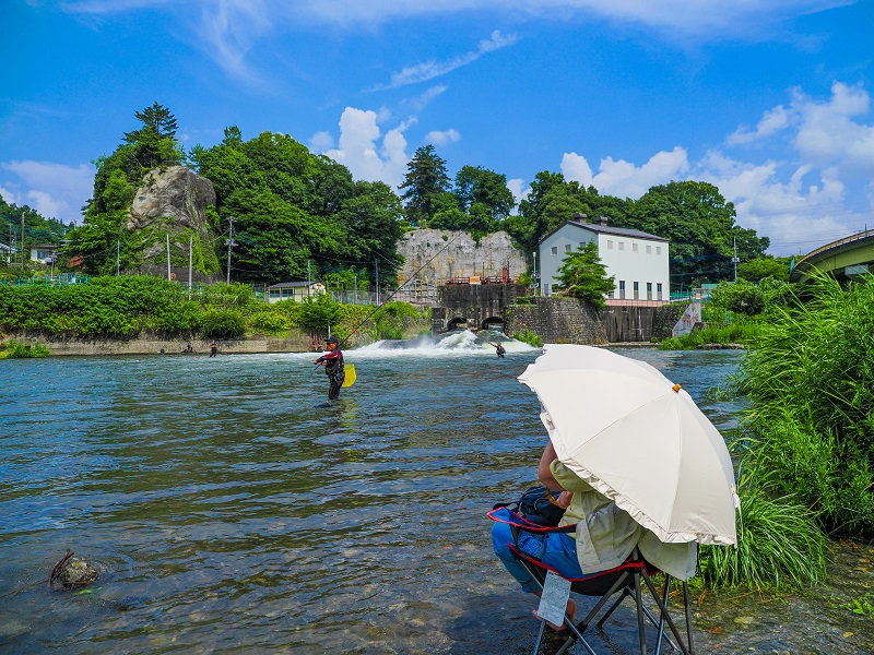 桂川鮎