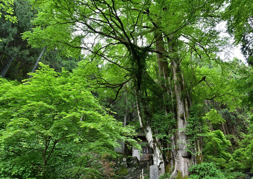 軍刀利神社
