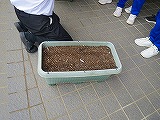 長かぶたねまき３