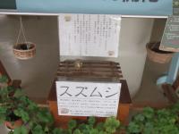 すずむし
