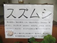 枕草子