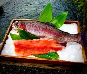 ご当地サーモン 画像