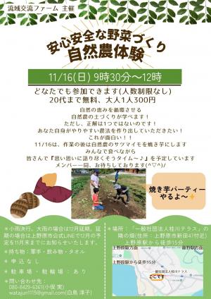 安心安全な野菜づくり「自然農体験」チラシ