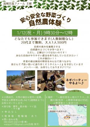安心安全な野菜づくり自然農体験チラシ