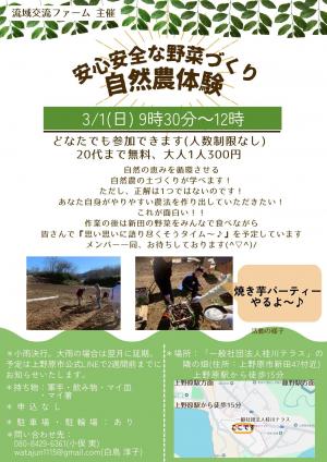 安心安全な野菜作り自然農体験チラシ