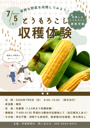 とうもろこし収穫体験チラシ