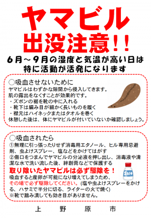 ヤマビル注意